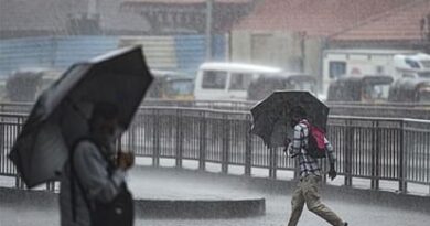 Rain, thunderstorm to bring relief from heat wave conditions for a week: IMD