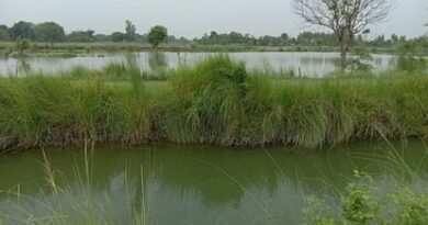 Saryu canal cut in Belsar, fields submerged