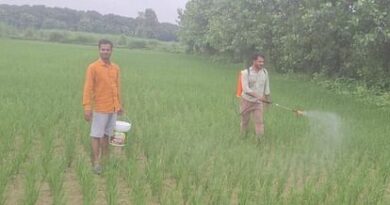 It rained heavily, farming intensified