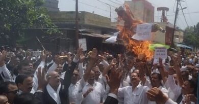 Advocates protest and burn effigy of government