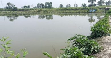 Gonda tops in Devipatan division in increasing fish production