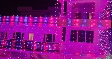 Diwali joy everywhere, houses and courtyards illuminated with lights.